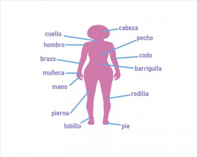 body-parts-in-spanish-colanguage